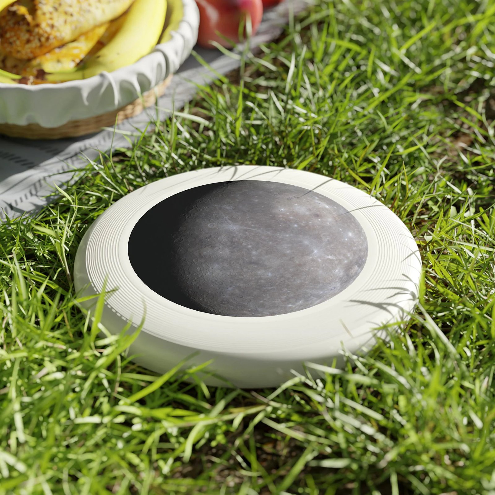 Wham-O Frisbee